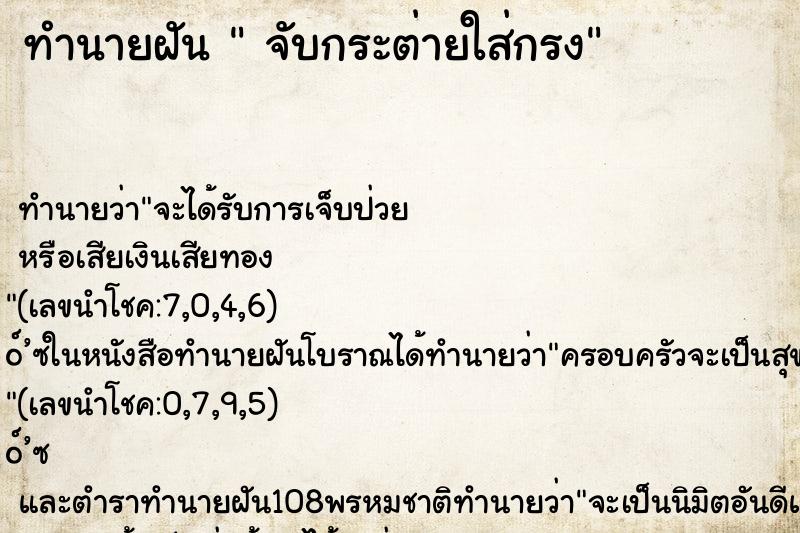 ทำนายฝันทำนายฝันจับกระต่ายใส่กรง